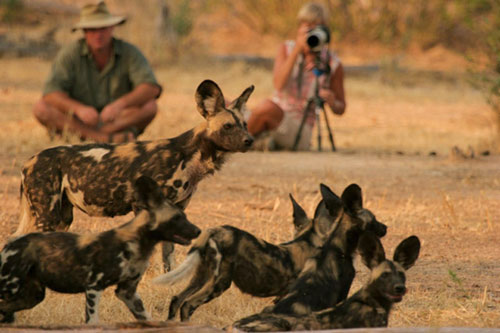 Vundu Camp - Mana Pools